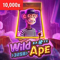Chăm sóc khách hàng VIP 11win